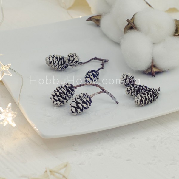 Шишки вільхи натуральні засніжені 1–2 см для декору та флористики