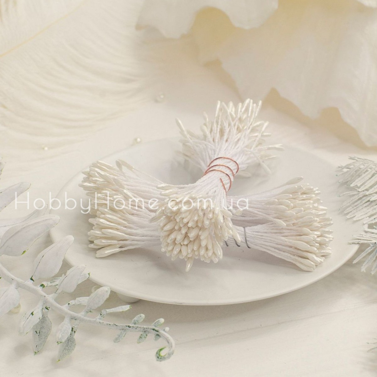 Довгі тичинки білі 1 мм, глянцеві, двосторонні, декоративні на нитці