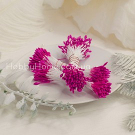 Тичинки яскраво-роже...