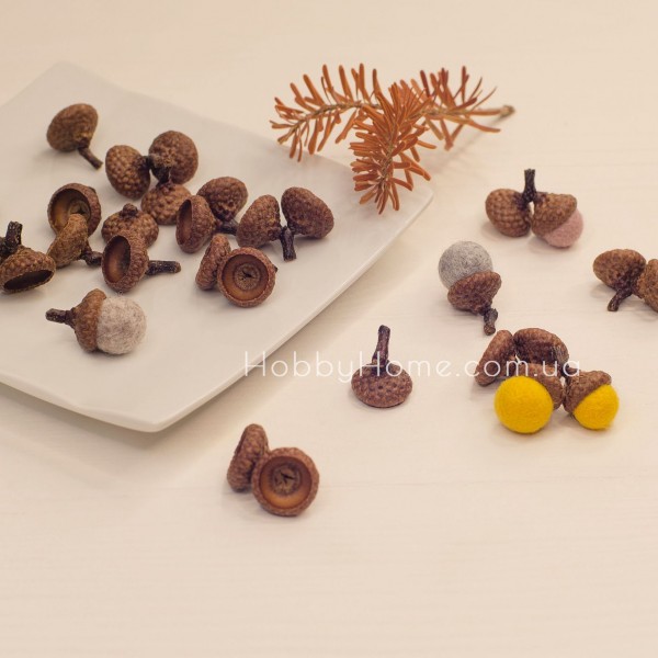 Шапочки жолудя натуральні 2 см