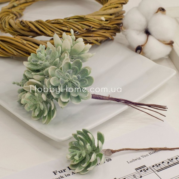 Сукуленти з напиленням на гілці 12см Зелені