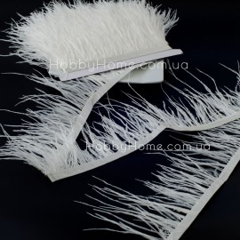 Пір’яна тасьма страу...