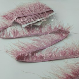 Пір'яна стрічка (тас...