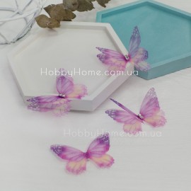 Шифонові метелики 5с...