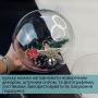Куля пластикова 20 см прозора велика - купити пластикові кульки для декору